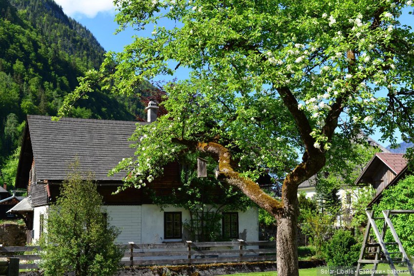 Еще одна поездка по Австрии с куколкой от Хайди Плюсцок. Часть вторая (фото 3)