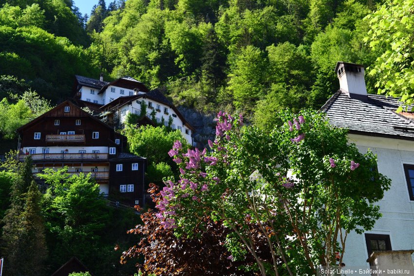 Еще одна поездка по Австрии с куколкой от Хайди Плюсцок