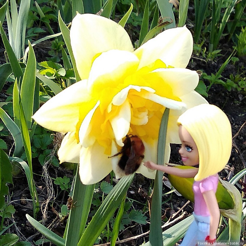 Весенняя прогулка — Болталка и разговоры обо всем: жизнь (фото 2)