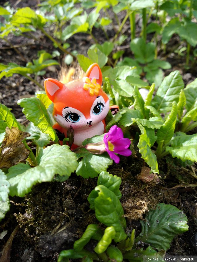 Весенняя прогулка — Болталка и разговоры обо всем: жизнь (фото 4)