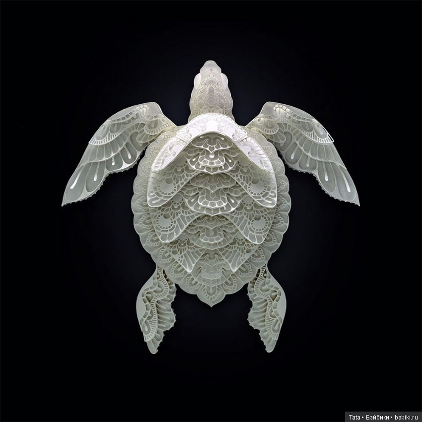 Скульптуры из бумаги: вымирающие виды (фото 9)