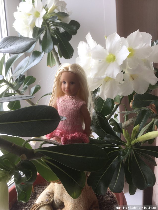 Когда же и к нам придёт весна