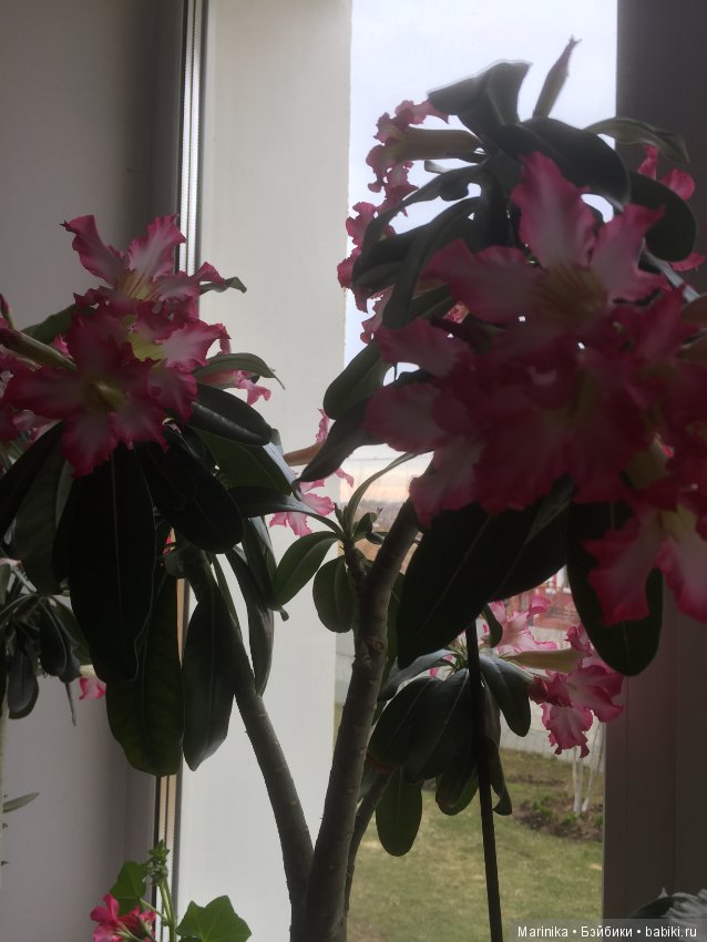 Когда же и к нам придёт весна (фото 3)