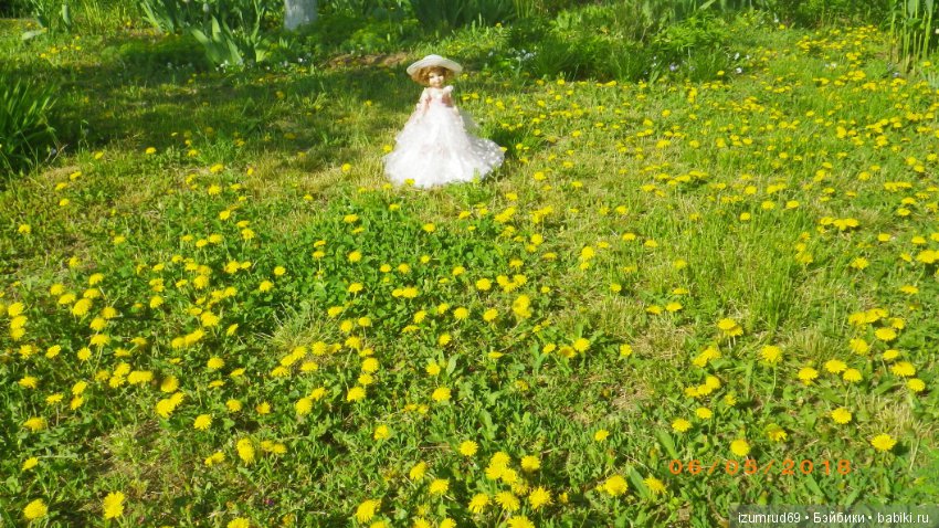 Бетси в роли цветочной феи (фото 10)