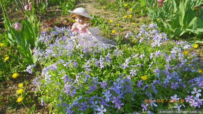 Бетси в роли цветочной феи (фото 6)