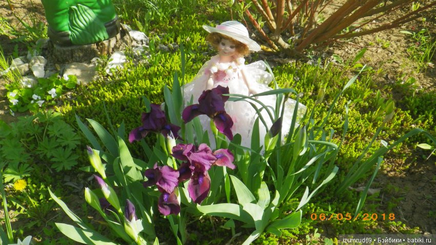 Бетси в роли цветочной феи (фото 5)