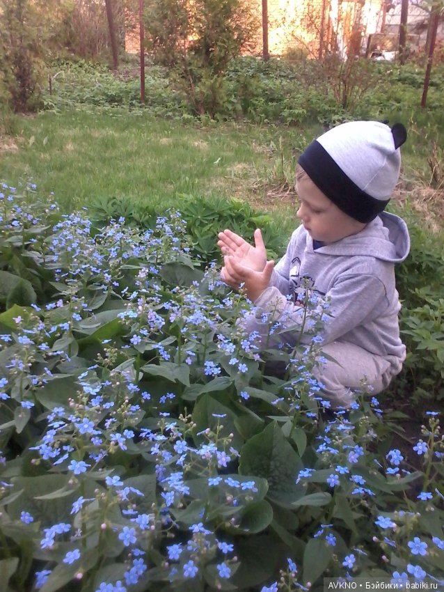 Наши красоты,природы — Болталка и разговоры обо всем: жизнь