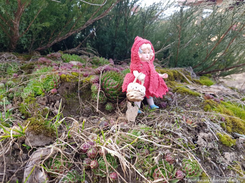 Новая девочка Красная Шапочка