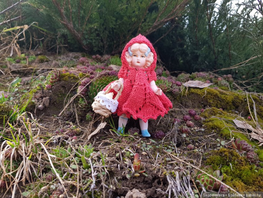 Новая девочка Красная Шапочка