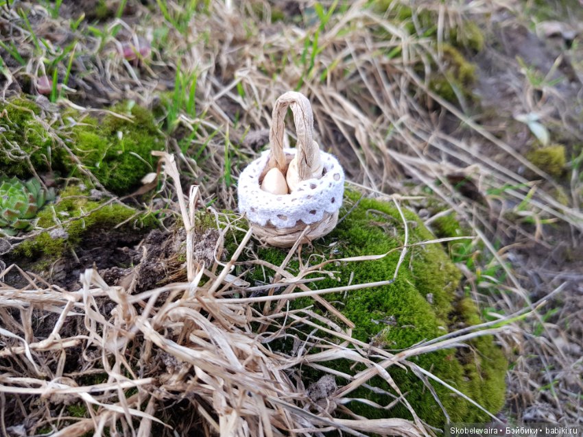 Новая девочка Красная Шапочка