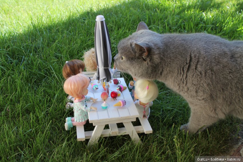 Пополнение младшей группы новыми ЭЛЛЕМЕНтиками