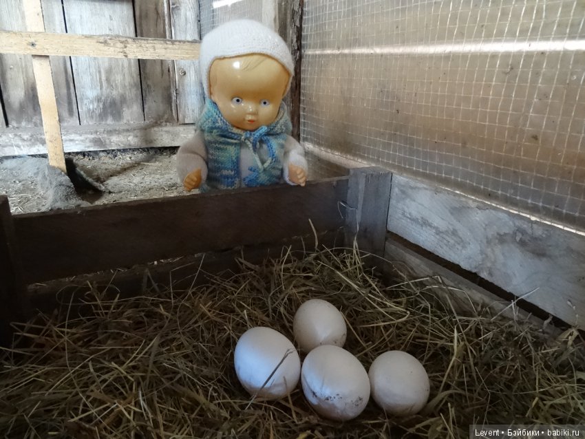 Скучно малышу в уголке стало. Пойдем гулять (фото 7)