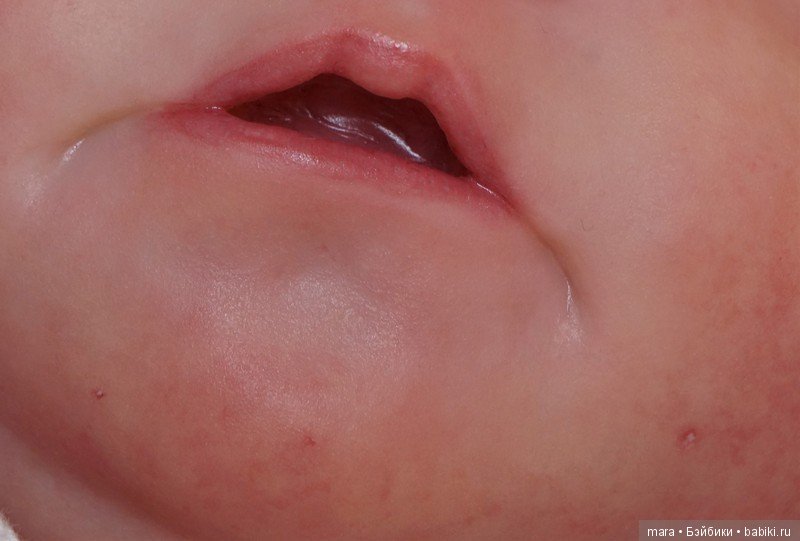 Chase скульптора Bonnie Brown, автор прототипа Leticia Moreno (фото 3)