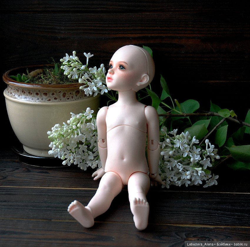 БИД Иплхаус, мобилити, обзор подвижности (фото 6)