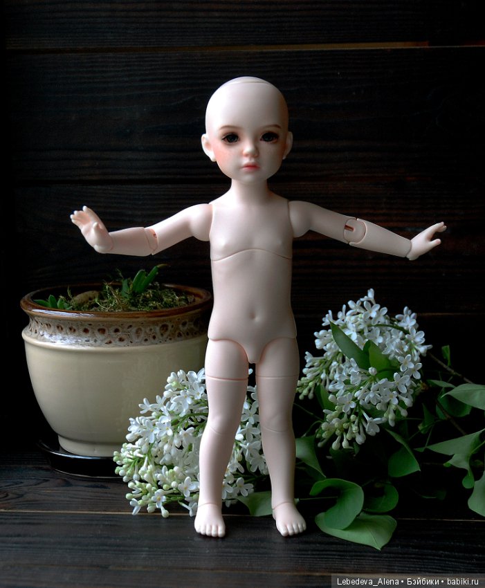 БИД Иплхаус, мобилити, обзор подвижности (фото 2)