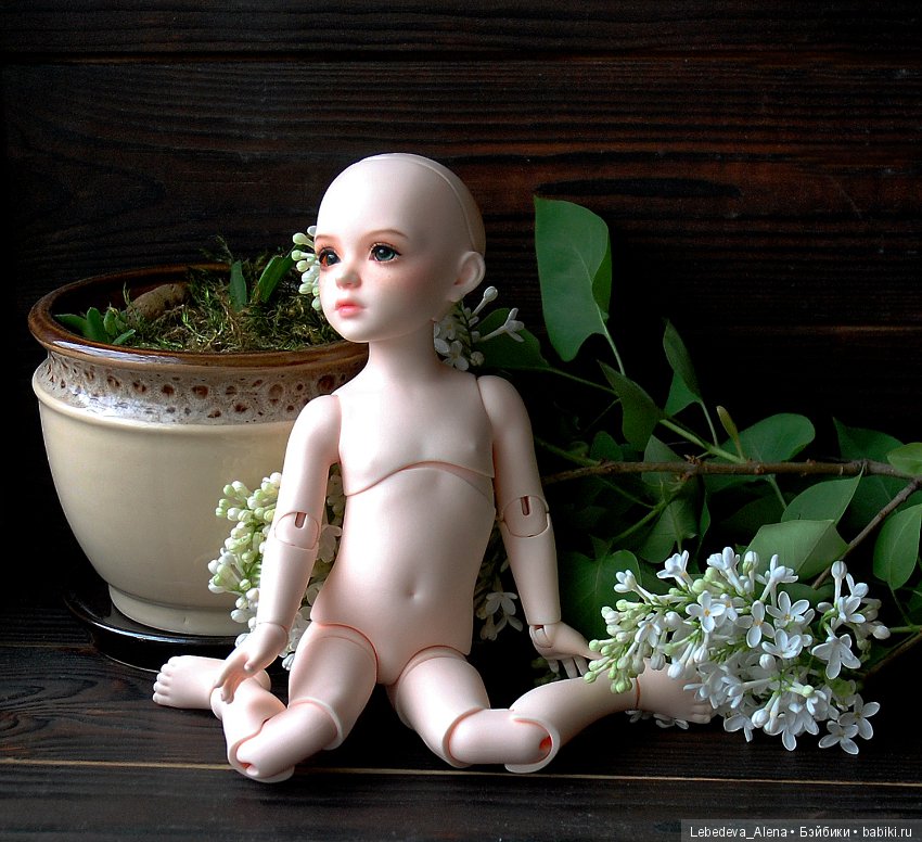 БИД Иплхаус, мобилити, обзор подвижности (фото 9)