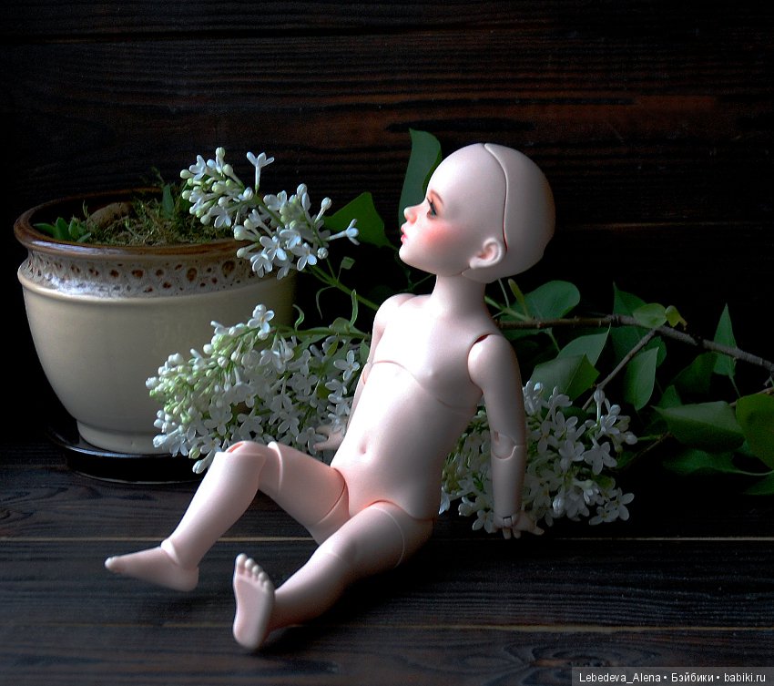 БИД Иплхаус, мобилити, обзор подвижности (фото 7)