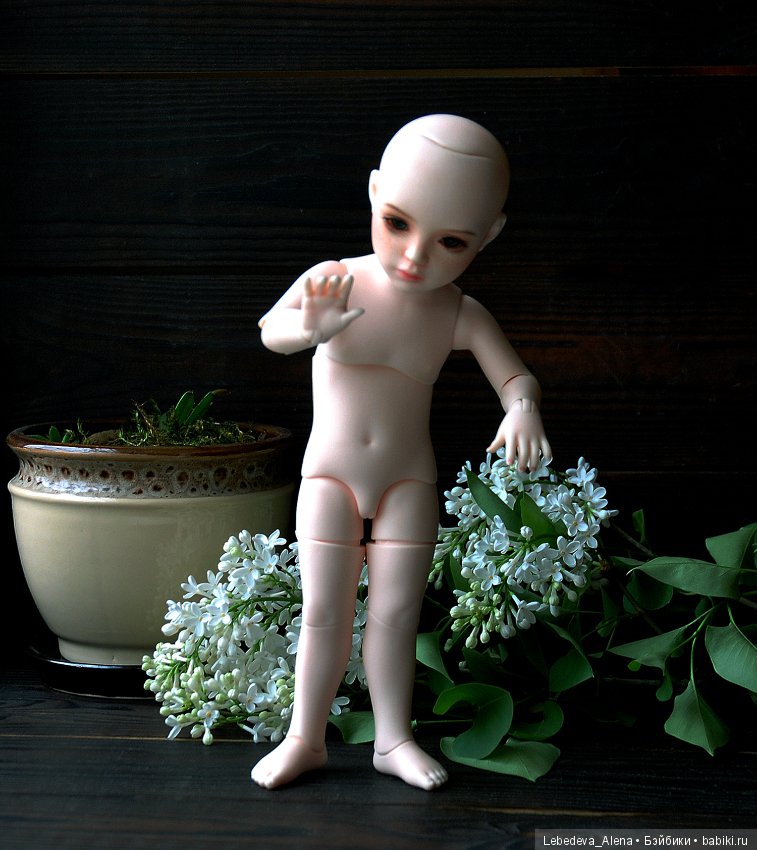 БИД Иплхаус, мобилити, обзор подвижности (фото 4)