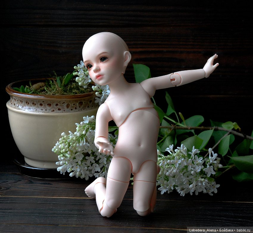 БИД Иплхаус, мобилити, обзор подвижности (фото 10)