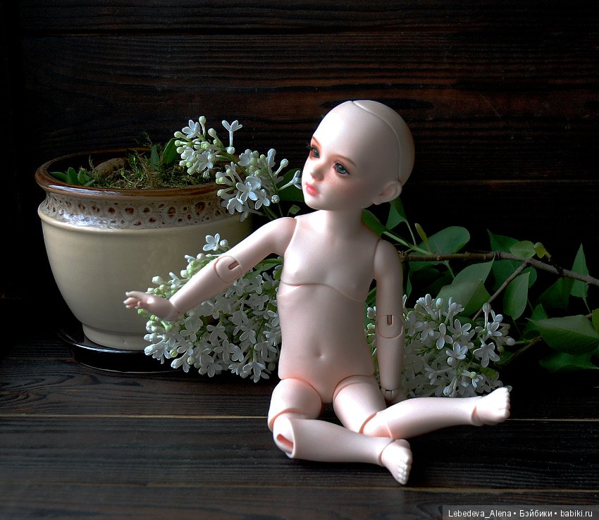 БИД Иплхаус, мобилити, обзор подвижности (фото 8)