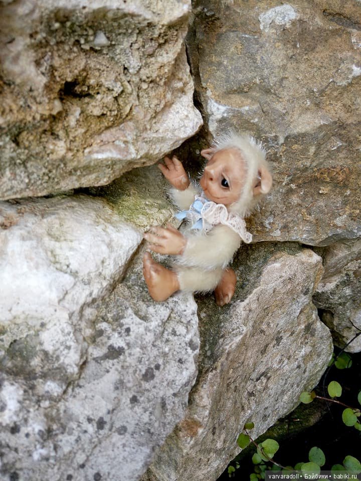 Путешествие по Германии или Шкрябик в естественной среде (фото 7)