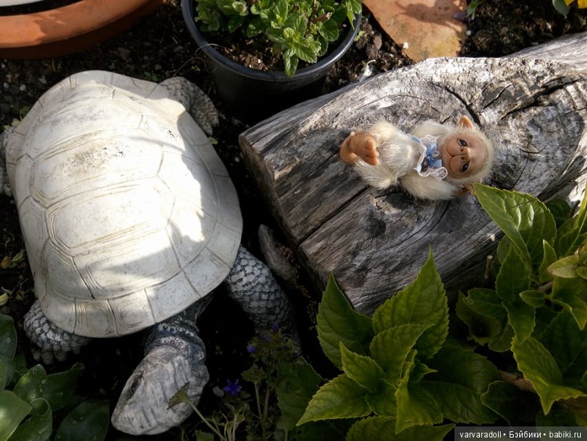 Путешествие по Германии или Шкрябик в естественной среде (фото 9)