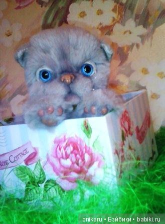 Котик Сёма — Авторские мишки Тедди и друзья: фото