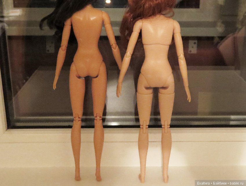 Барби Йога против Чудо-Женщины (фото 2)