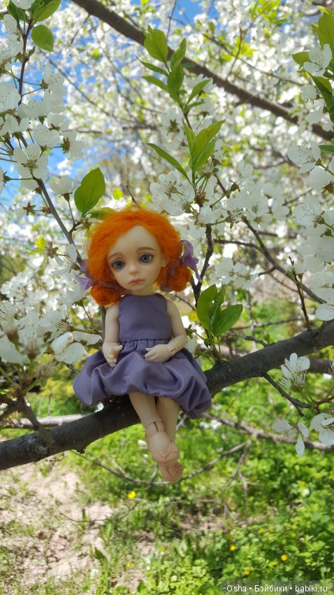 Мои красавицы от Елизаветы Бабенко (фото 5)