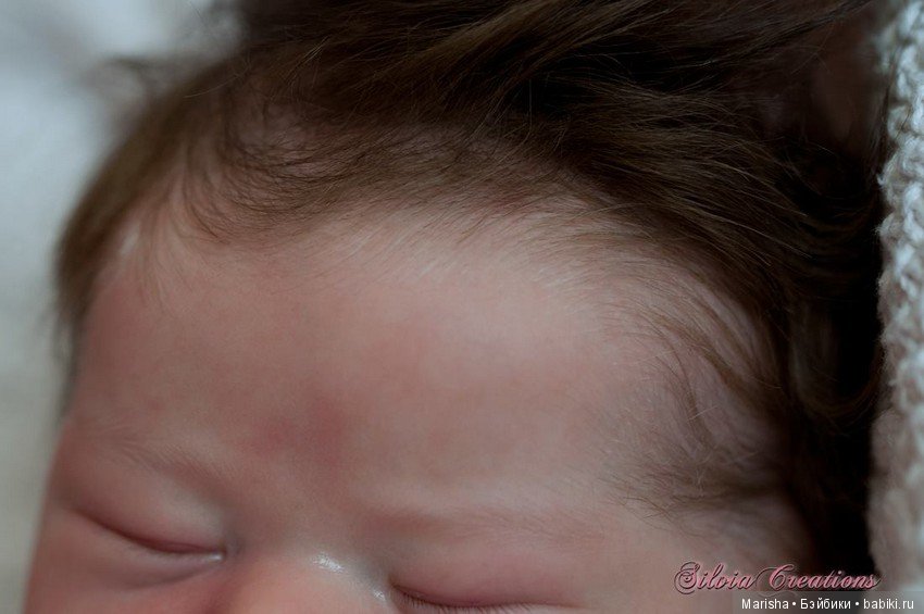 Chase скульптора Bonnie Brown, автор прототипа Silvia Ezquerra