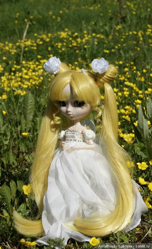 Полевой цветок — Куклы Pullip (Пуллип)