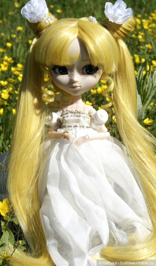 Полевой цветок — Куклы Pullip (Пуллип) (фото 2)