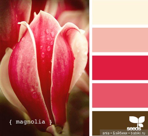 Картинки по красивому сочетанию цветов