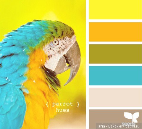 Картинки по красивому сочетанию цветов