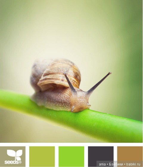 Картинки по красивому сочетанию цветов (фото 6)