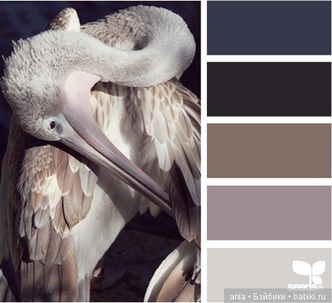 Картинки по красивому сочетанию цветов