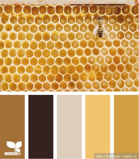 Картинки по красивому сочетанию цветов (фото 5)