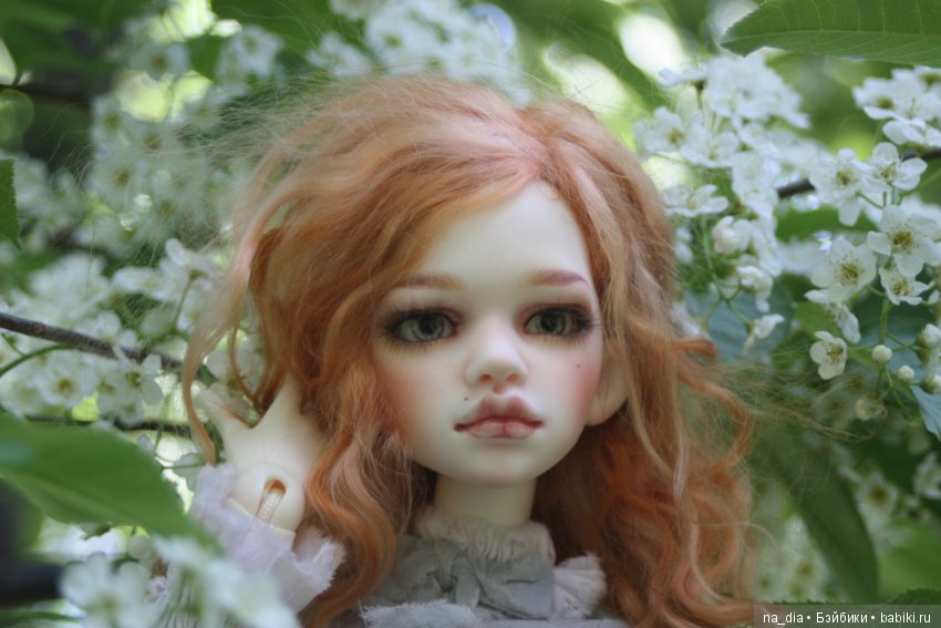 Цветение сакуры — Куклы DIM (Doll in Mind): корейские BJD (БЖД)