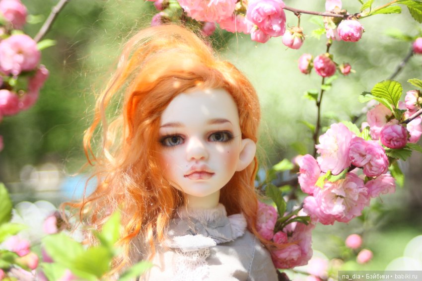 Цветение сакуры — Куклы DIM (Doll in Mind): корейские BJD (БЖД) (фото 4)