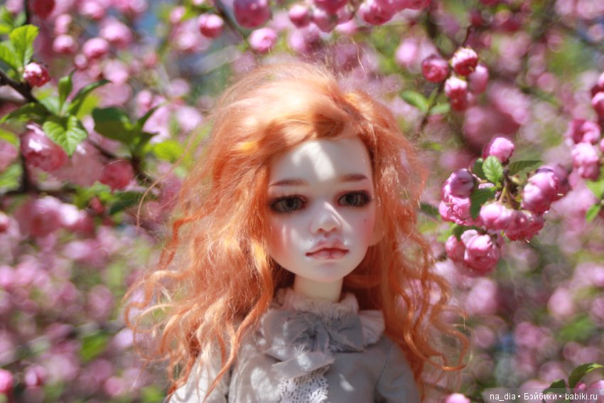 Цветение сакуры — Куклы DIM (Doll in Mind): корейские BJD (БЖД)