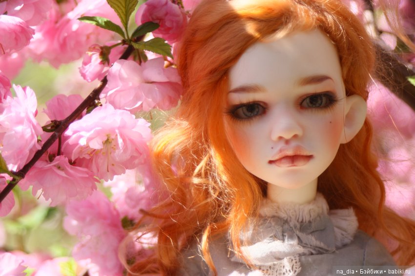 Цветение сакуры — Куклы DIM (Doll in Mind): корейские BJD (БЖД) (фото 3)