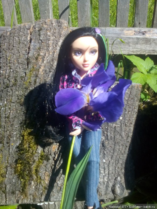 Тристен и ирисы — Разные шарнирные куклы (не БЖД): редкие (фото 5)