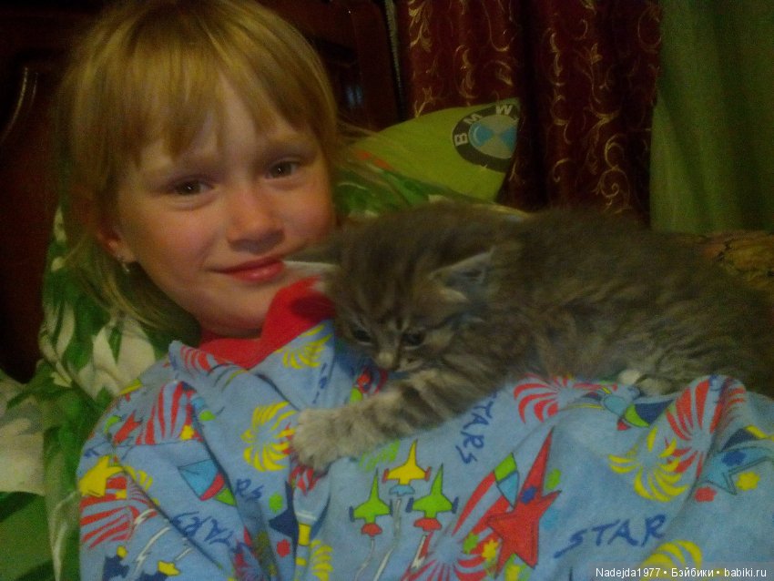 Тристен и ирисы — Разные шарнирные куклы (не БЖД): редкие