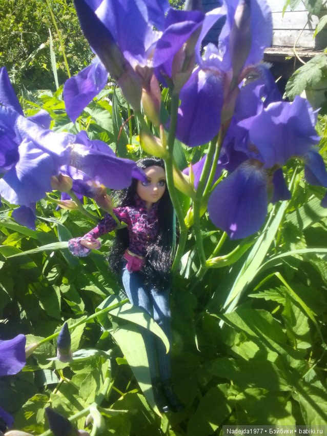 Тристен и ирисы — Разные шарнирные куклы (не БЖД): редкие (фото 4)