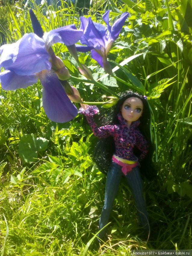 Тристен и ирисы — Разные шарнирные куклы (не БЖД): редкие (фото 3)
