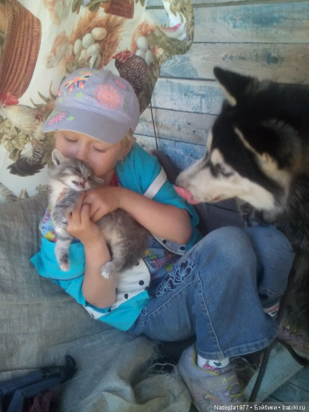 Тристен и ирисы — Разные шарнирные куклы (не БЖД): редкие