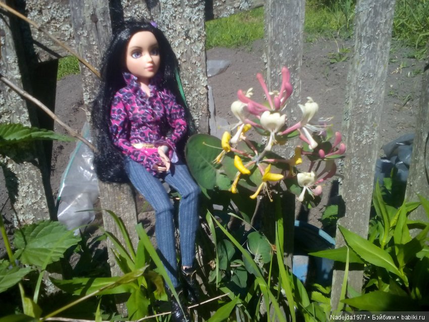 Тристен и ирисы — Разные шарнирные куклы (не БЖД): редкие (фото 9)