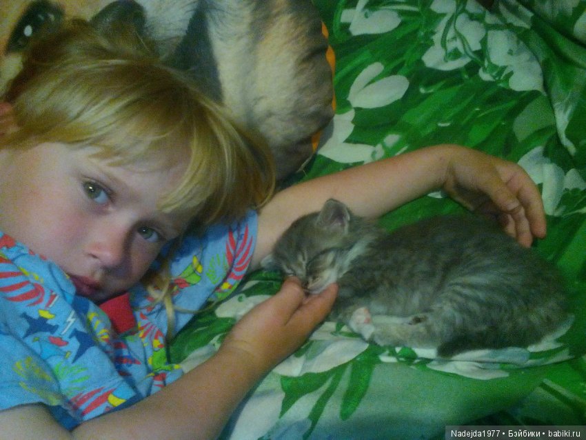 Тристен и ирисы — Разные шарнирные куклы (не БЖД): редкие