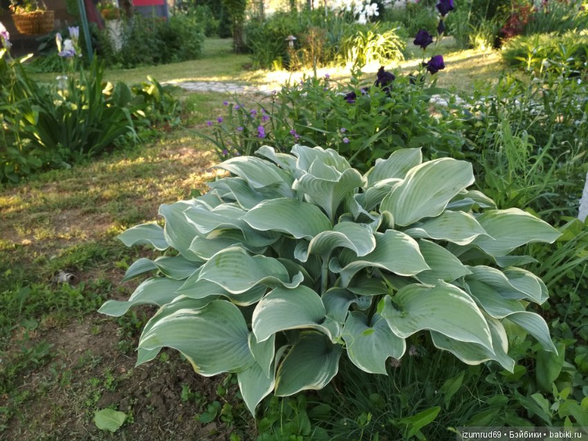 Прекрасные мгновения весны