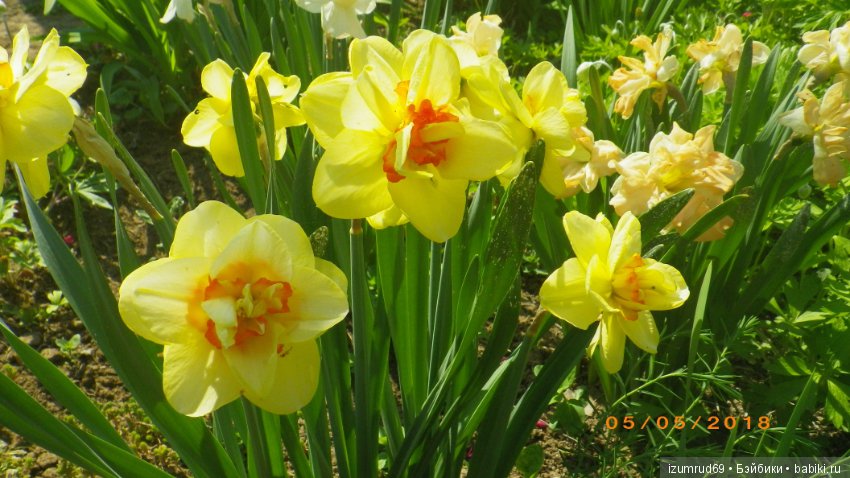 Прекрасные мгновения весны